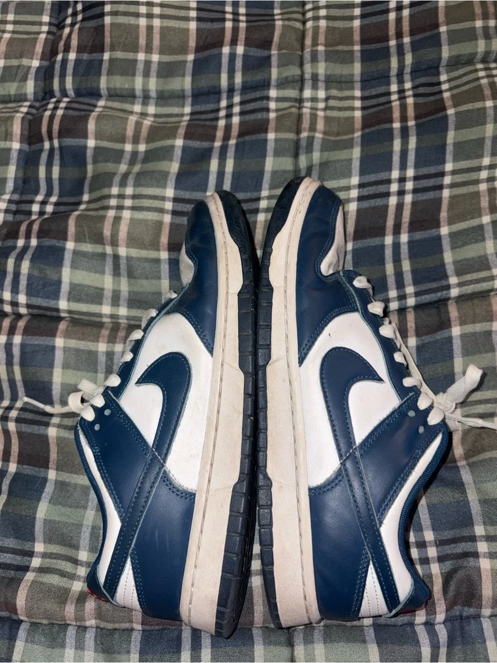 Nike Dunk Low Valerian Blue